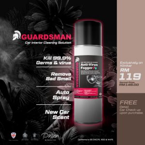 Guardsman Car Interior Cleaning Solution